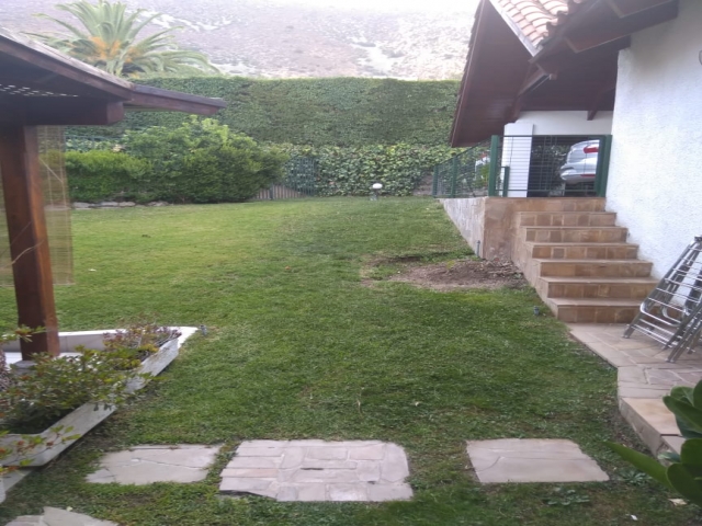 WhatsApp Image 2019-02-21 at 20.52.21 (3).jpeg